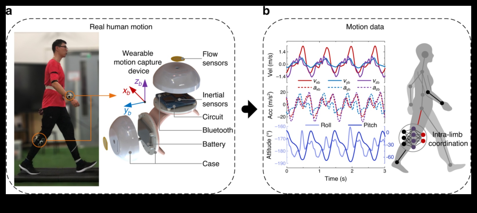 Mișcare dinamică: creșterea flexibilității pentru o viață activă și energică