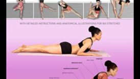 Flex Appeal: Crearea unui corp rezistent prin stretching inteligent