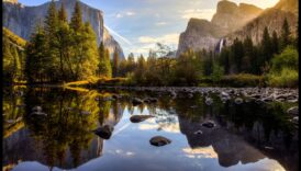 Ochi pe eleganță: un ghid al vizitatorilor cu discernământ